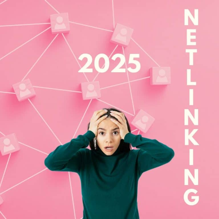 budget netlinking